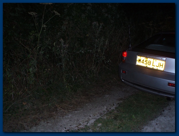 600x449 pixels (111K)